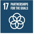 SDG 17