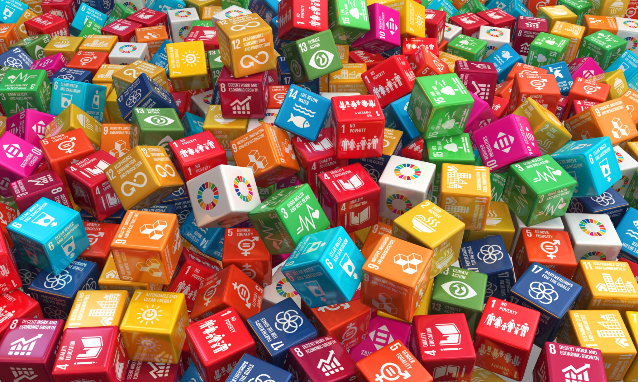 Sustainable Development Goals