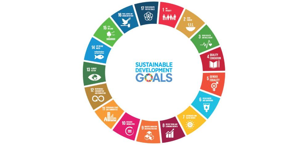 17 Sustainable Development Goals wheel
